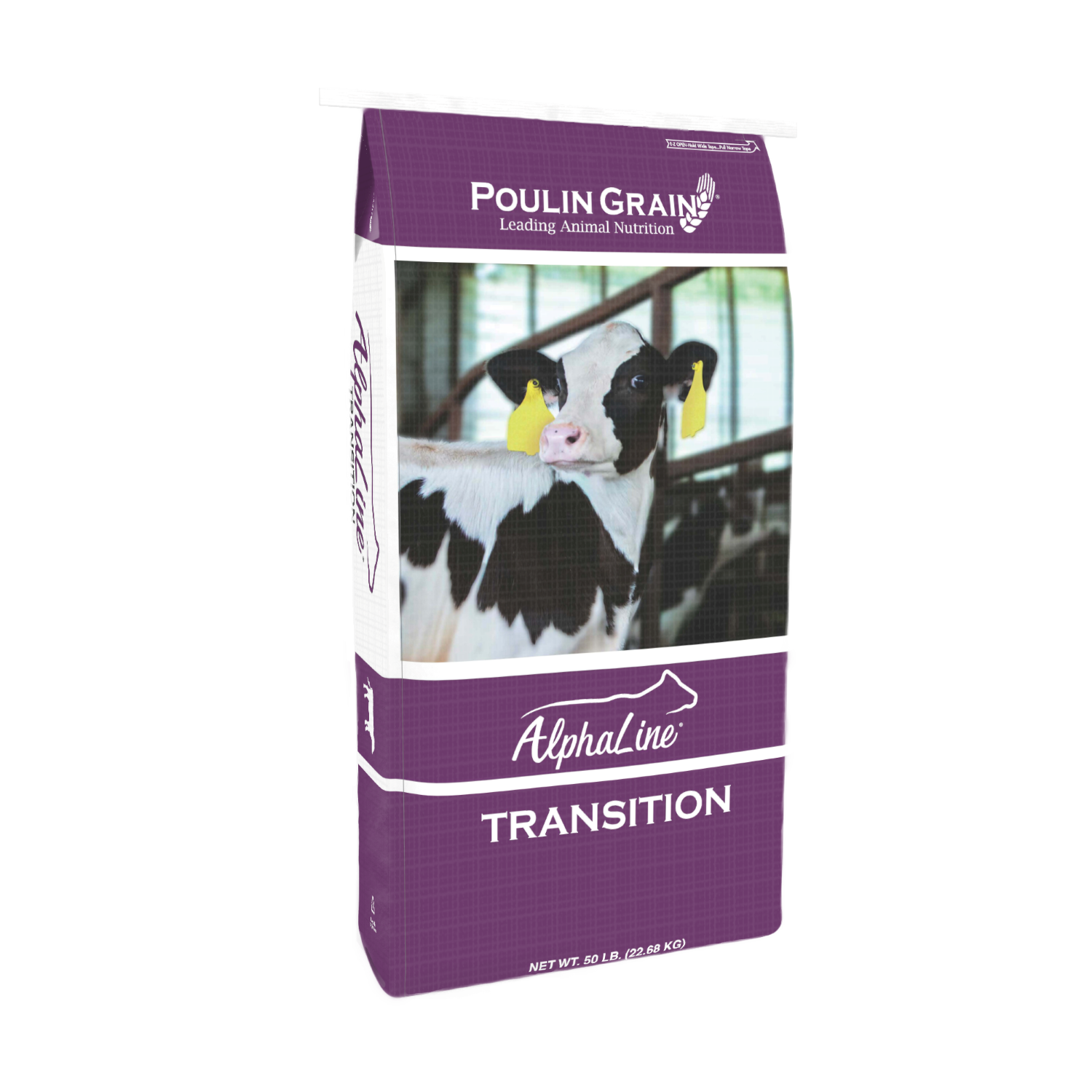 Alphaline Transition