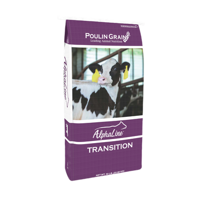 Alphaline Transition
