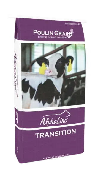 Alphaline Transition
