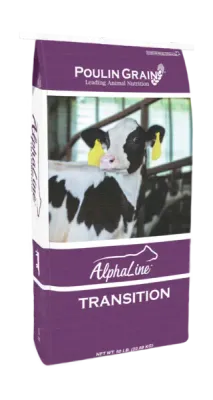Alphaline Transition