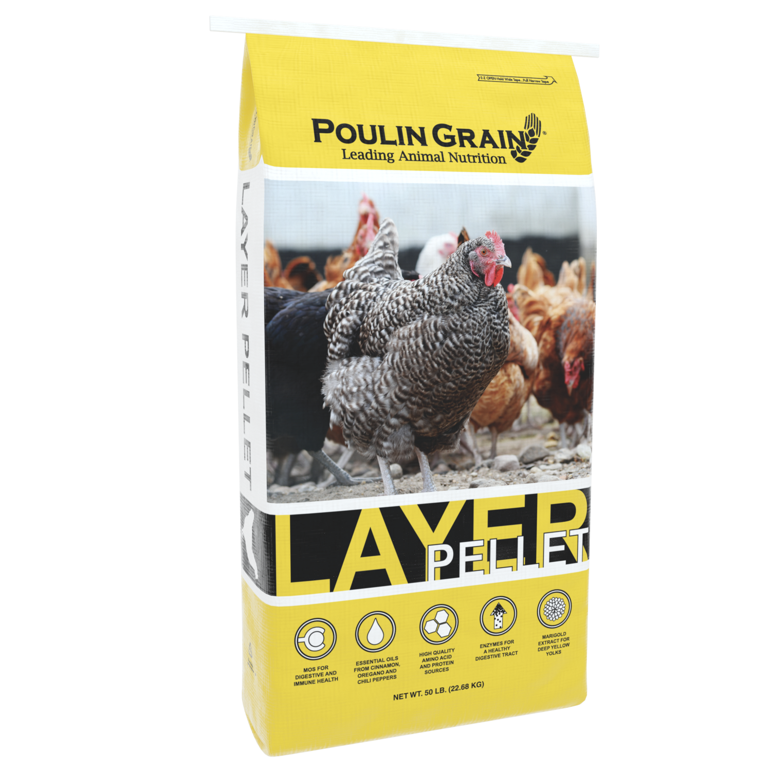 Layer Pellet