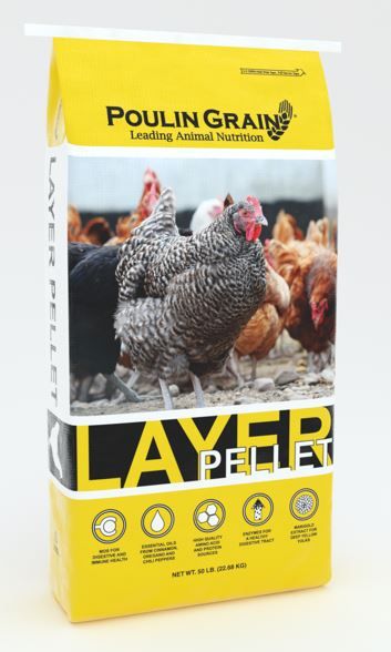 Layer Pellet