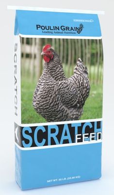 Scratch