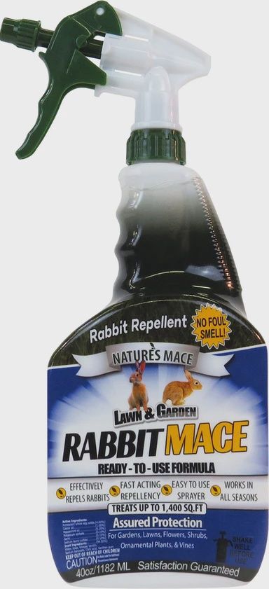 Rabbit Mace