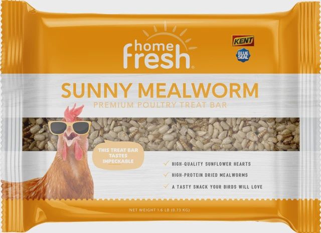 Sunny Mealworm