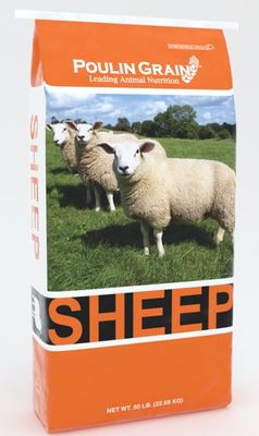 Sheep Complete