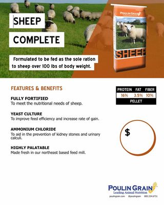 Sheep Complete