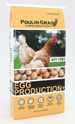 Egg Production