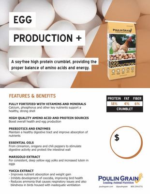 Egg Production