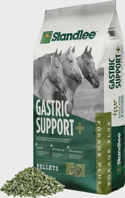 Standlee Gastric Support