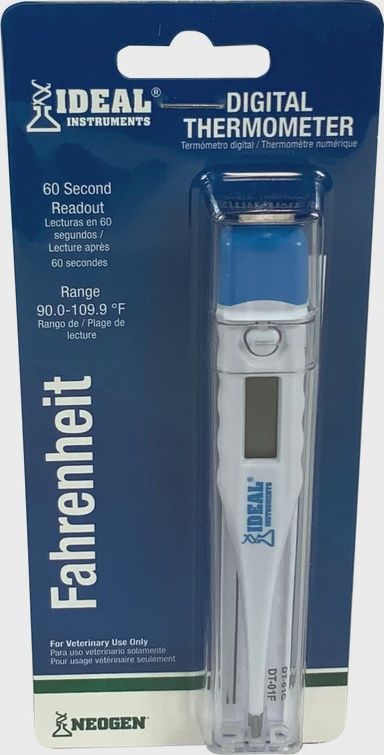 Digital Thermometer