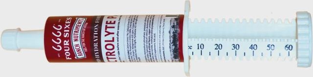 6666 Electrolyte Paste