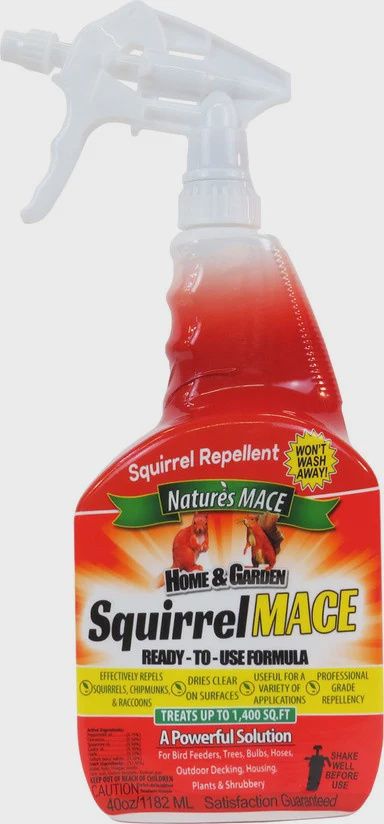 Squirrel Mace
