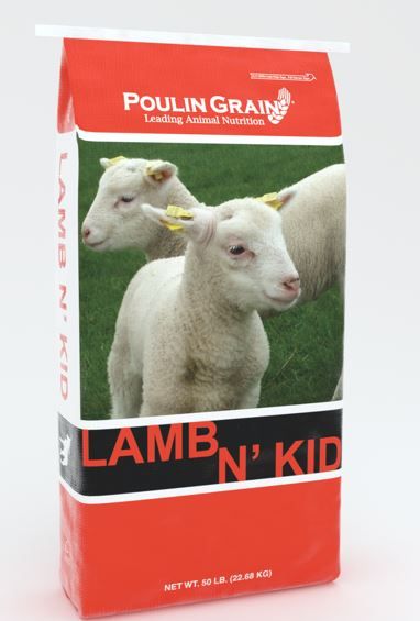 Lamb N' Kid Starter Pellet