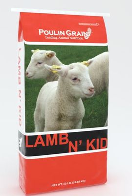 Lamb N' Kid Starter Pellet