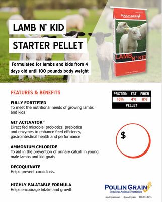Lamb N' Kid Starter Pellet