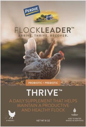 Flockleader Thrive