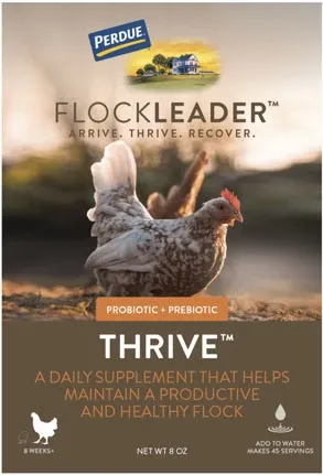 Flockleader Thrive
