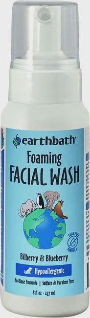 Foaming Facial Wash