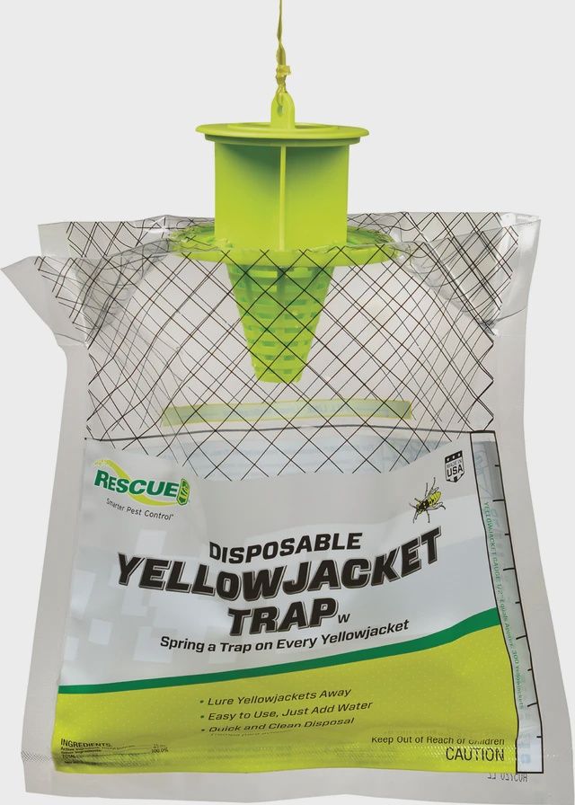 Yellowjacket Trap