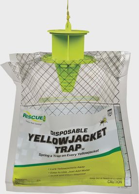 Yellowjacket Trap