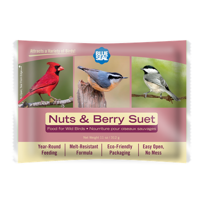 Nuts &amp; Berry Suet