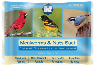 Mealworm &amp; Nut Suet