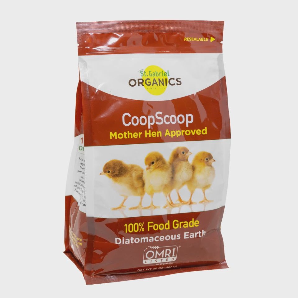 Coop Scoop