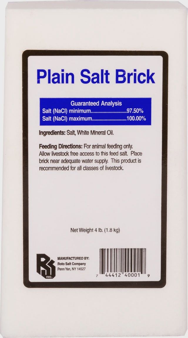 Plain Salt Brick