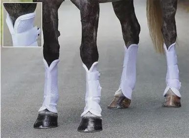 Fly Turnout Socks