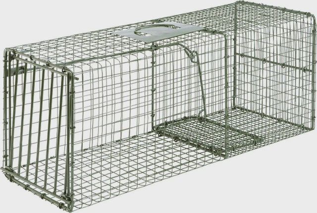 Heavy Duty Cage Traps, Size: Medium