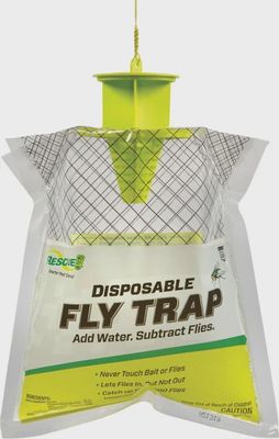 Disposable Fly Trap