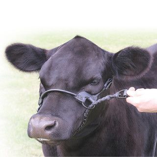 1st Class Show Halter, Black, Size: Small