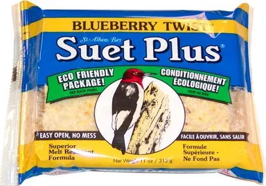 Suet Plus Blueberry