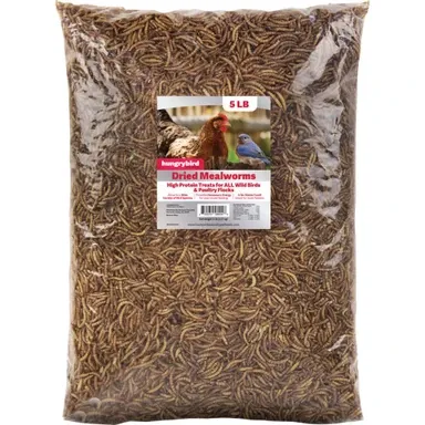 HungryBird Dried Mealworms
