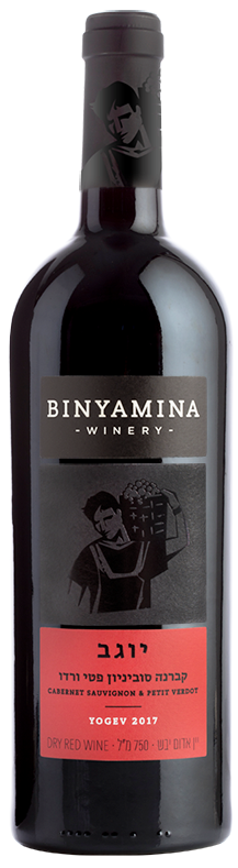 Binyamina Yogev Cabernet Petite Verdot