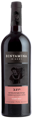 Binyamina Yogev Cabernet Shiraz