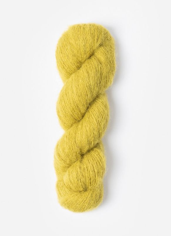 Prairie Katydid (Fingering #1)