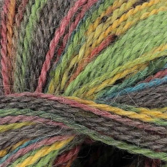 Homespun Prism DK, Color: Summer Meadow