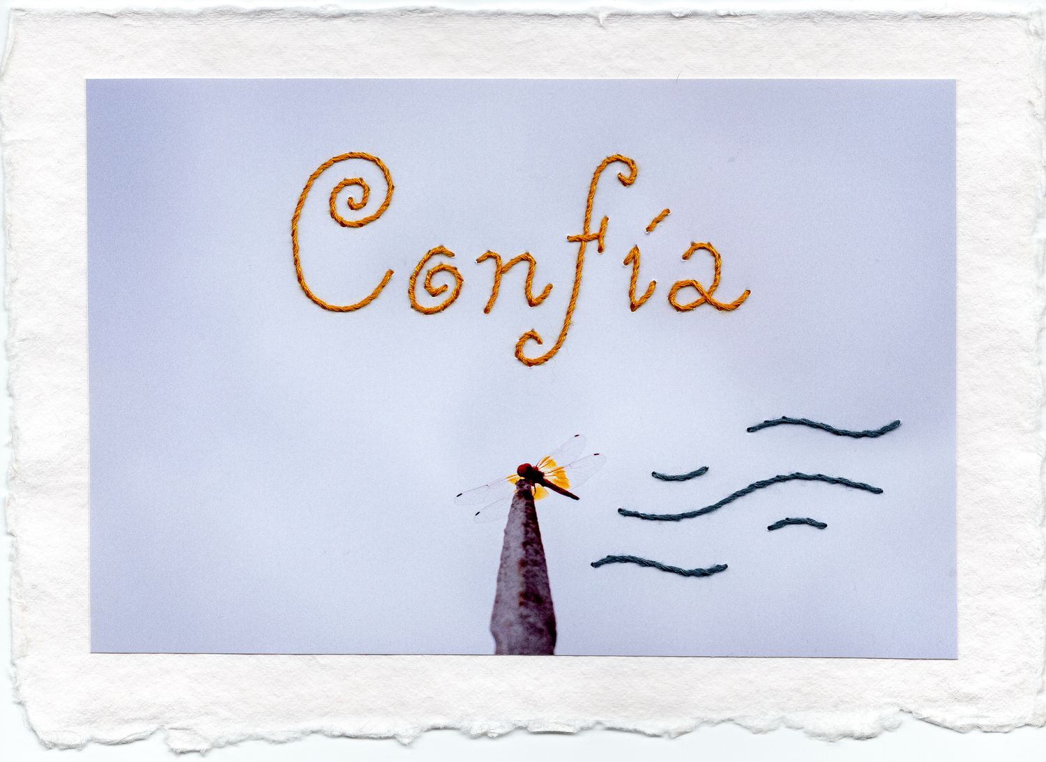 05. CONFÍA