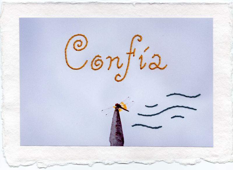 05. CONFÍA