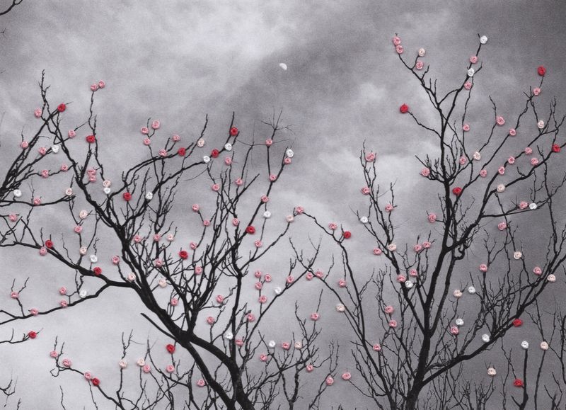 01. PRIMAVERA IS COMING