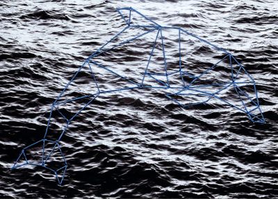 «GEOMETRÍA ANIMAL»