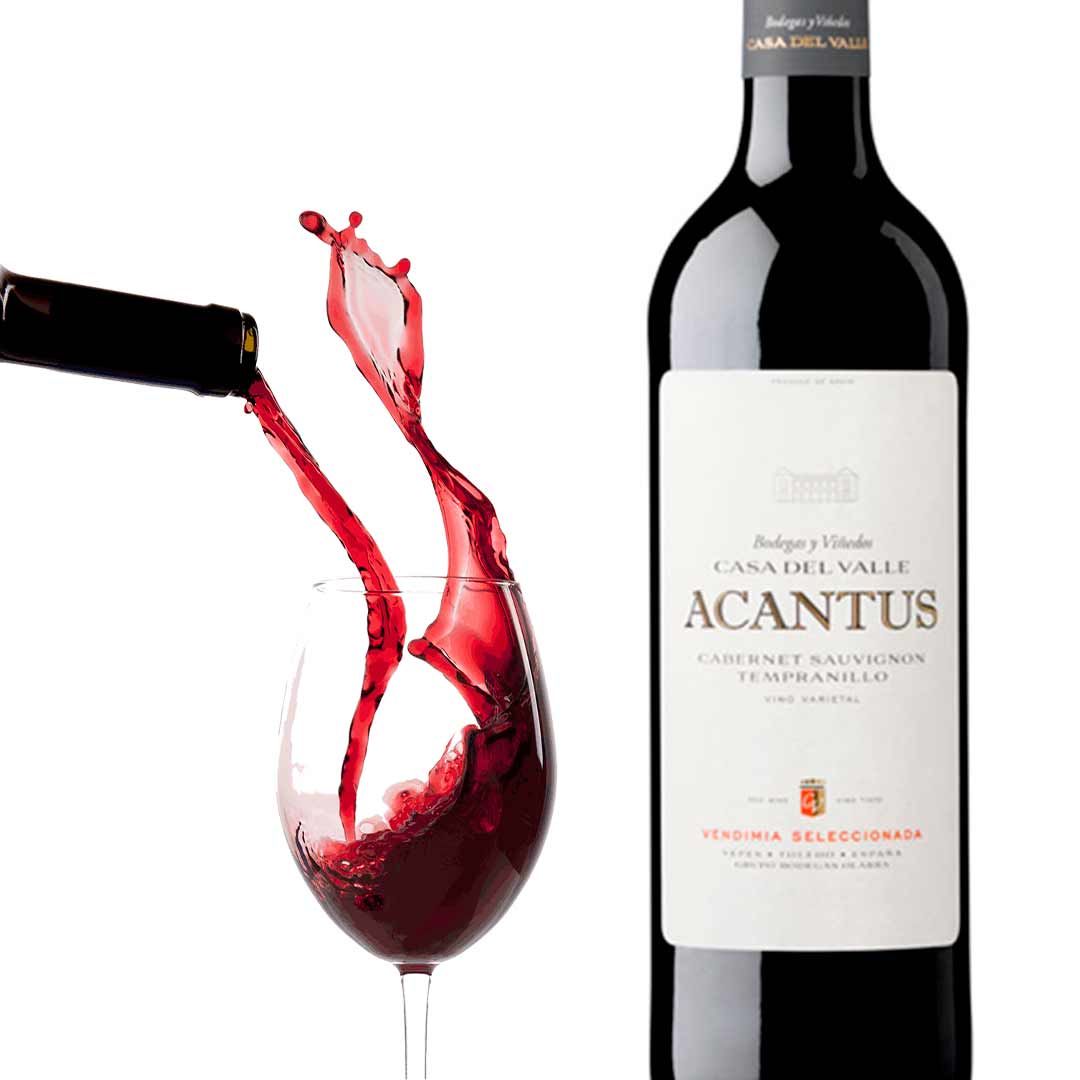 VT ACANTUS (BOTELLA)