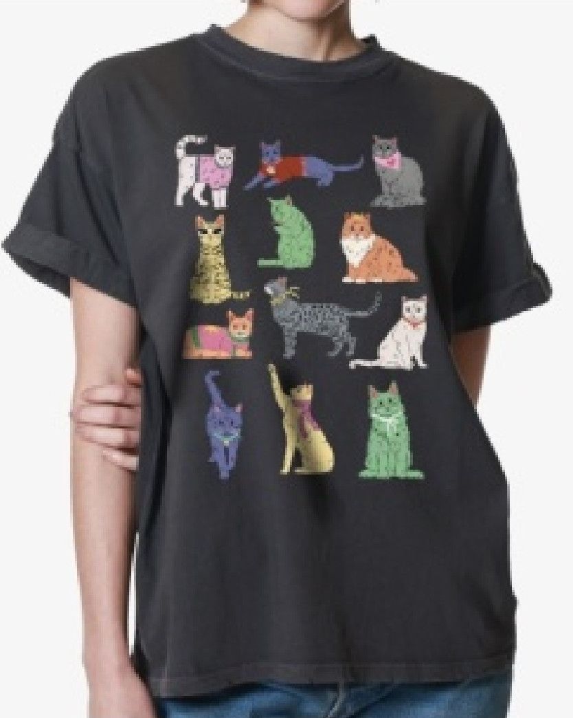 Colourful Cats | Boyfriend Tee