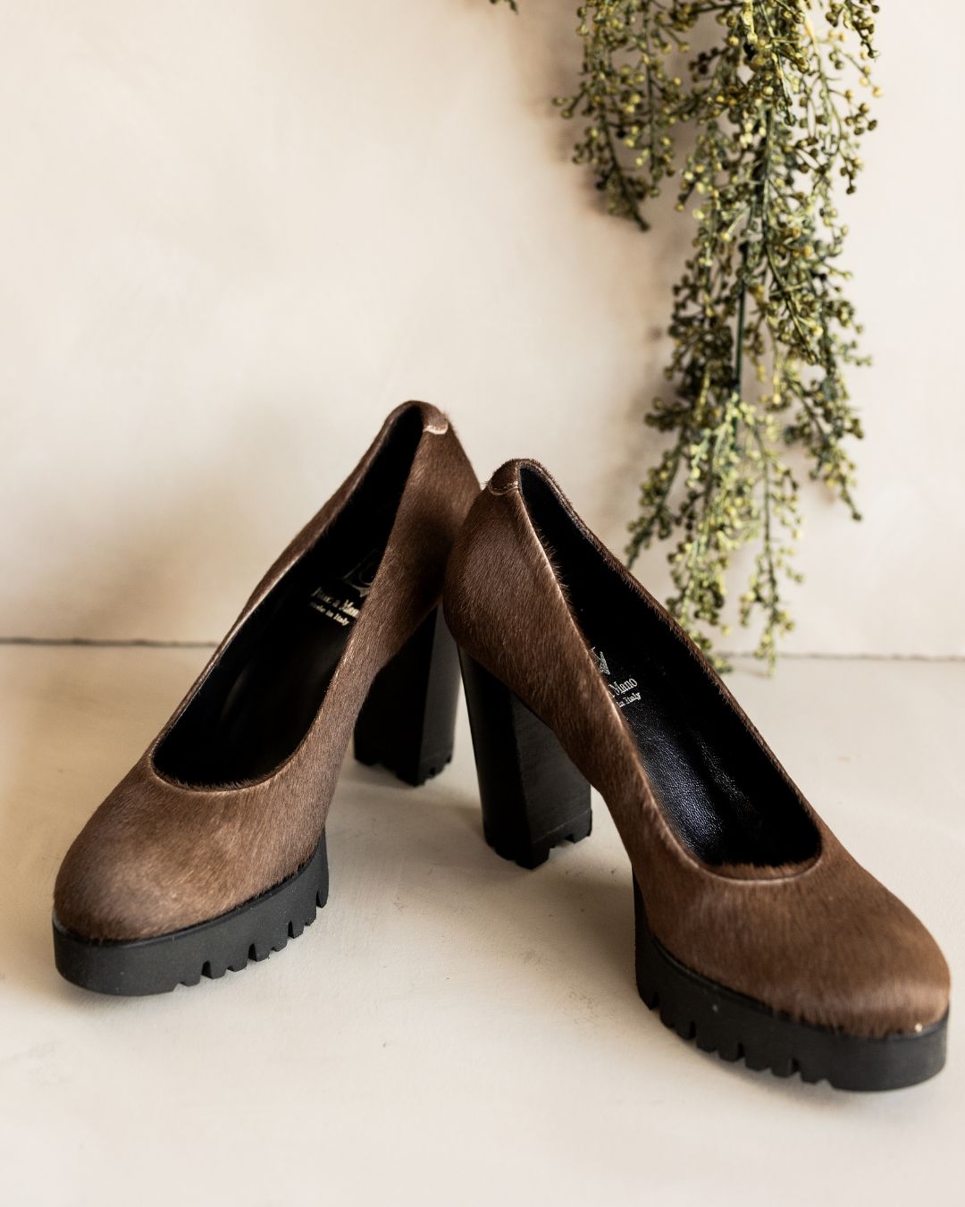 Kebir taupe 3901M