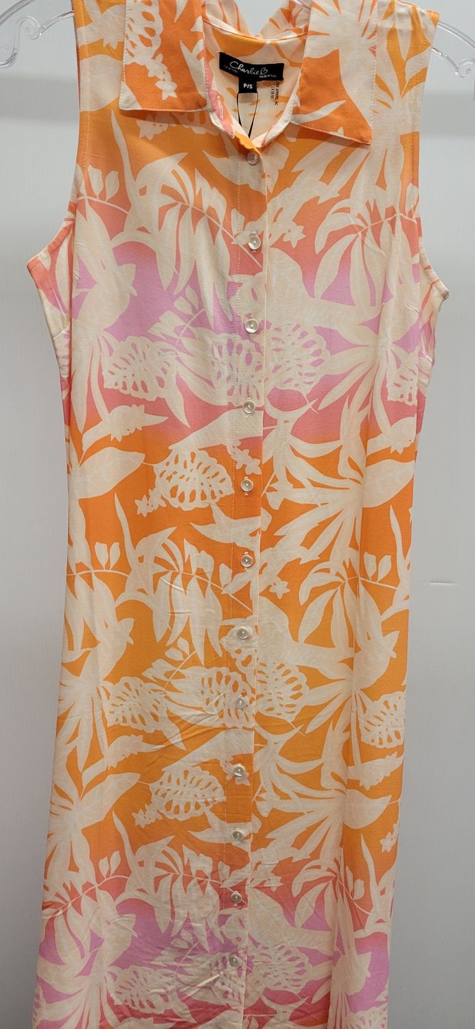 Button Down Shirt Dress