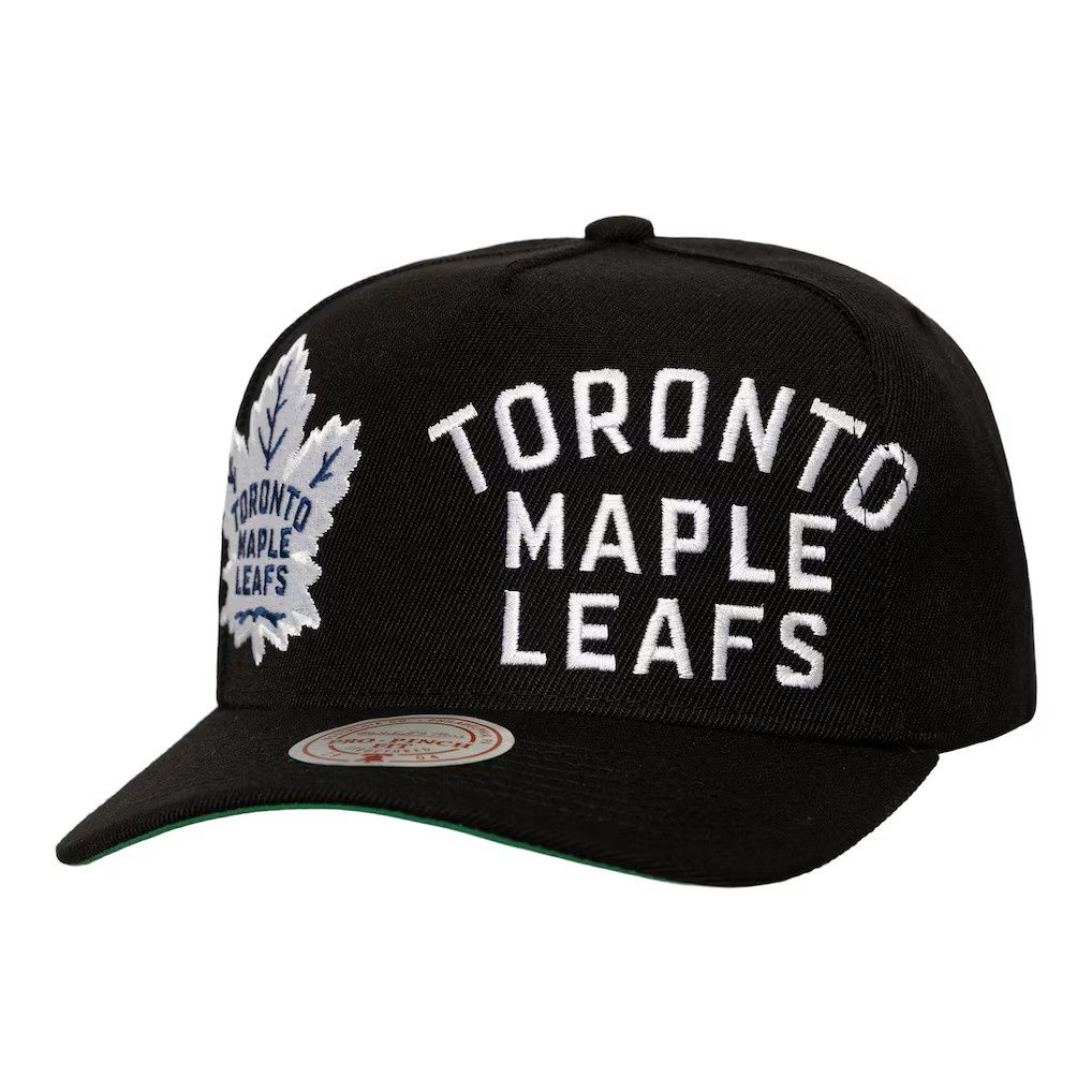 NHL MLeafs Busted Pro Hat