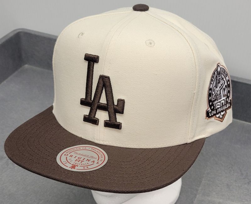 MLB LA Dodgers Fash Basic Hat
