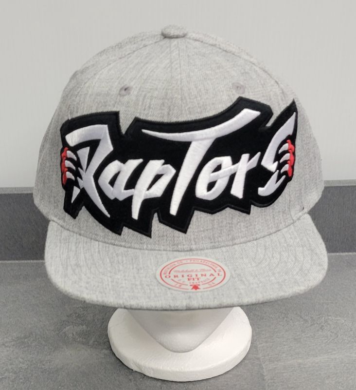 NBA Raptor Hold Wordmarks Hat